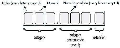 Understanding the ICD 10 Code Structure